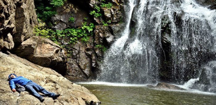 جنگل بلگراد استانبول ترکیه